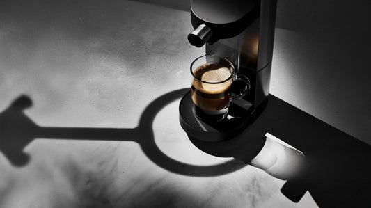 Bharath Brews 100% Robusta Coffee Powder (250g)